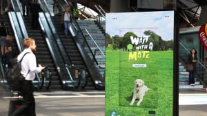 Play fetch at the bus stop with a virtual pup