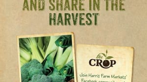 The Crop