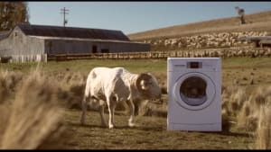 Tested by Nature, Tested by Us