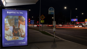 AWLQ ‘Together for life’ via Studio Paradise, dentsu Queensland 
