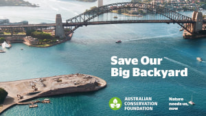ACF destroys the Sydney Opera House via Spinach