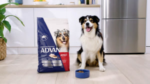 ADVANCE pet food showcases Aussie science via The Pistol