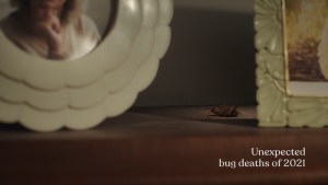 Aerogard Home's memorial to bugs via Host/Havas 