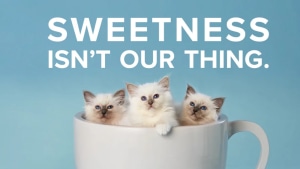 Almond Breeze's 'Sweetness isn't our thing' stars puppies and kittens