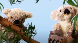 'Koalas Tell It Like It Is' with amaysim