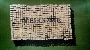 Welcome the World
