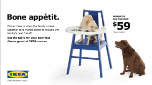 HUNDSTOL Dog High Chair