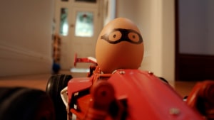 'Bring the Bright' for Australian Eggs via Connecting Plots