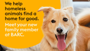 Blacktown Animal Rehoming Centre's 'A Home for Good' via Murmur-Group