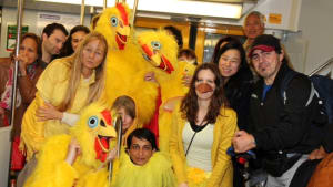 The Plight of Caged Chickens