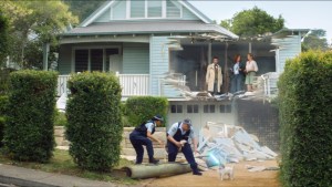Neighbour's dog runs riot in latest work from Budget Direct 