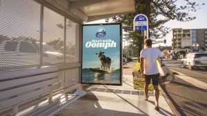 Dairy Farmers' 'Oomph' surfing cow via The Royals 