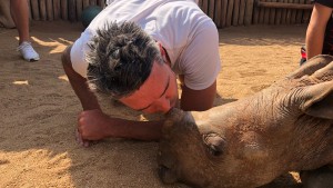 M&C Saatchi's THIS launches rhino conservation documentary
