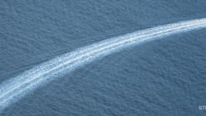 Stop The Super Trawler