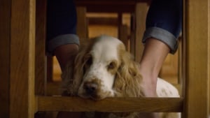 The Works creates campaign to thank four legged friends
