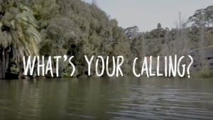Open Colleges asks 'What’s your calling' via Bohemia 
