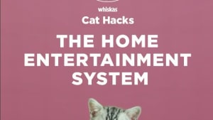 Clemenger BBDO Sydney creates Whiskas Cat Hacks