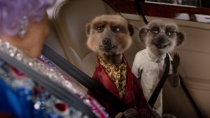 Dame Edna rescues meerkats in latest Compare the Market campaign