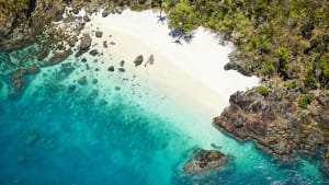 Interbrand launches rebrand for Daydream Island
