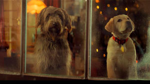 Meet Good Dog, Pedigree's new Christmas star 