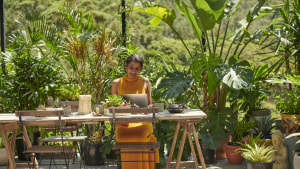 Domain shows how Australians are reimagining where they want to live