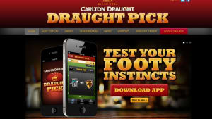 Draught Pick
