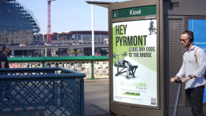 Club Lime offers Pyrmont gym-goers a better place to work out 
