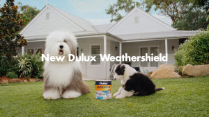 Dulux ‘Weathershield’ via Clemenger BBDO, Initiative