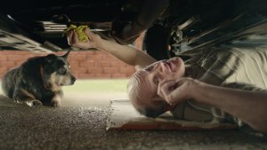 Woolworths Insurance becomes Everyday via M&C Saatchi