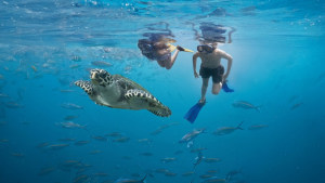 Fiji's ‘Happy Hour for the Environment’ via Havas