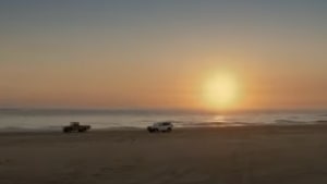 Aussie launches new campaign via The General Store