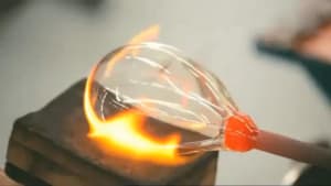 Glass Organs