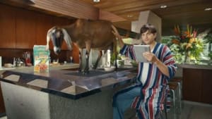 What do Ashton Kutcher, Lenovo and a goat have in common?