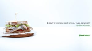 The True Cost Of Tuna