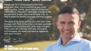 Greyhound Racing NSW promotes Greyhounds As Pets initiative