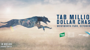Greyhound Racing NSW promotes TAB Million Dollar Chase
