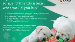 Christmas Wish List