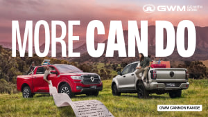 GWM Cannon 'Can Do’ via Thinkerbell 