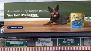 Haymes Paint 'You bet it’s better' via Spinach