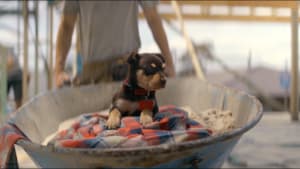 KFC and Ogilvy use man's best friend to sell burgers 
