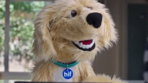 HIF celebrates 65th birthday with new campaign