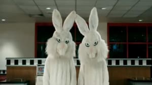 Rabbits