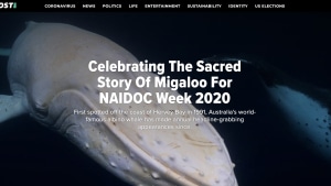 RYOT Studio uses AR technology to bring Migaloo to life for NAIDOC Week