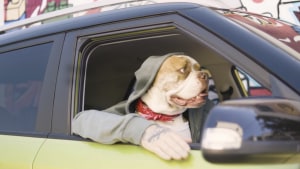 Hyundai's shortest car reviews via AnalogFolk Sydney
