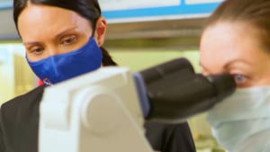 NATA celebrates World Laboratory Day via Marshlandia
