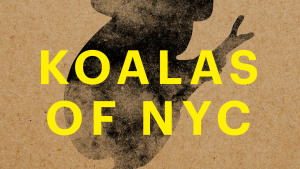 Koalas are popping up around New York to raise money for WIRES