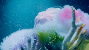 Life-Space Probiotics via Wunderman Thompson