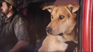 Macca’s celebrates its role in the lives of Australians via DDB Sydney