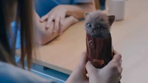 McVitie’s is back with a virtual kitty 