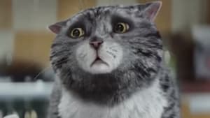 Sainsbury's calamitous Christmas ad with Mog the cat